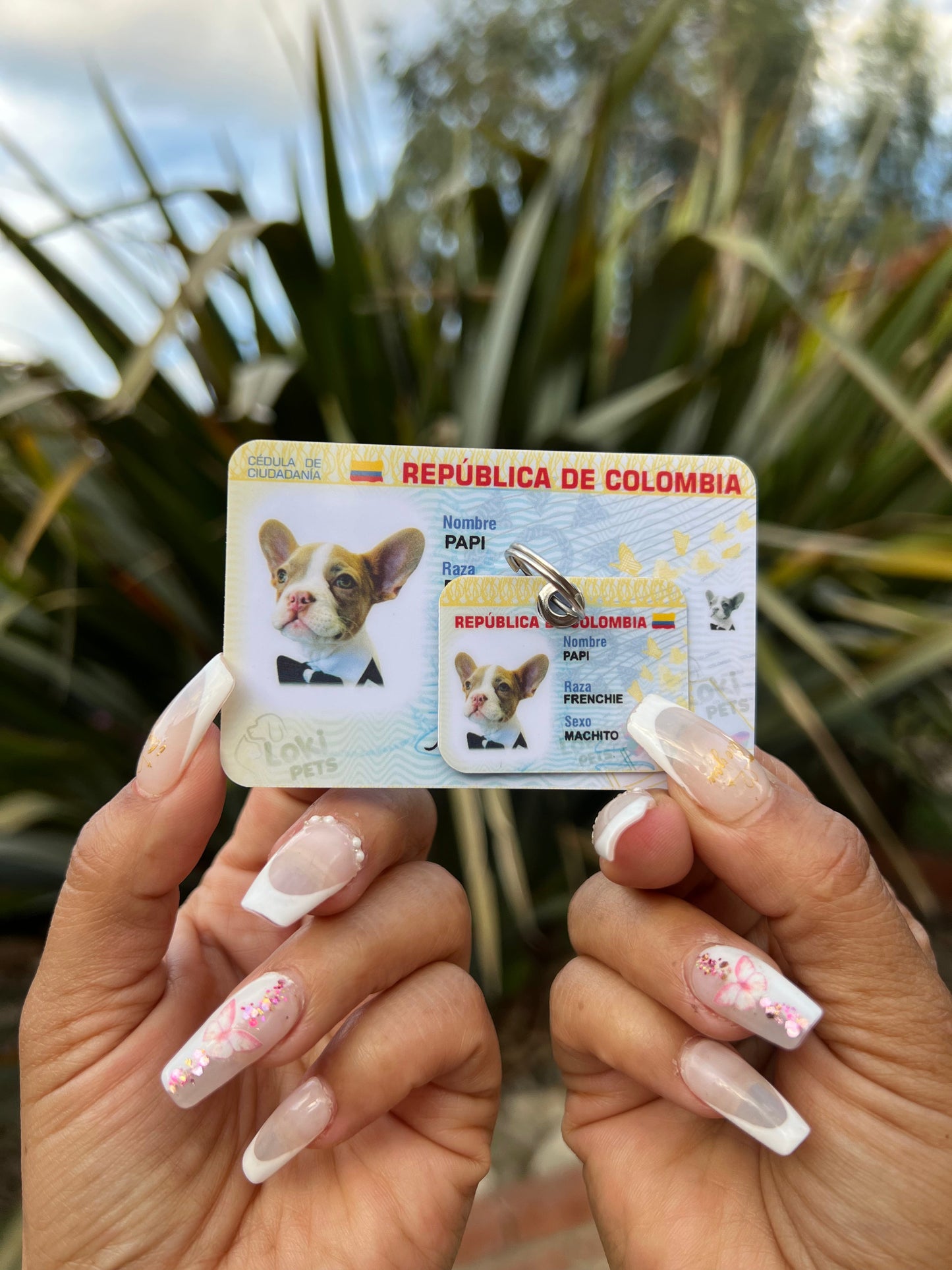 NUEVAS Cédulas Para Mascotas