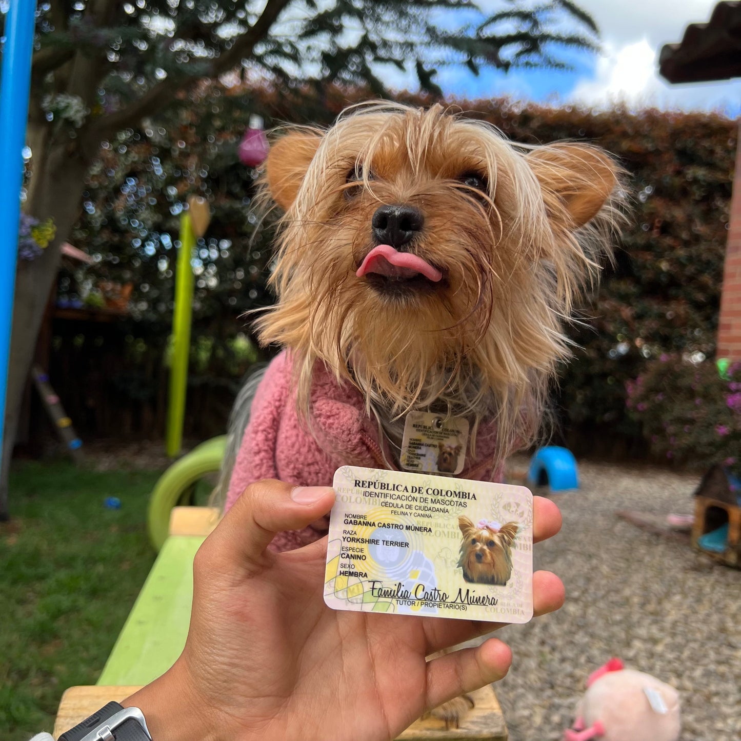 Cédulas Para Mascotas