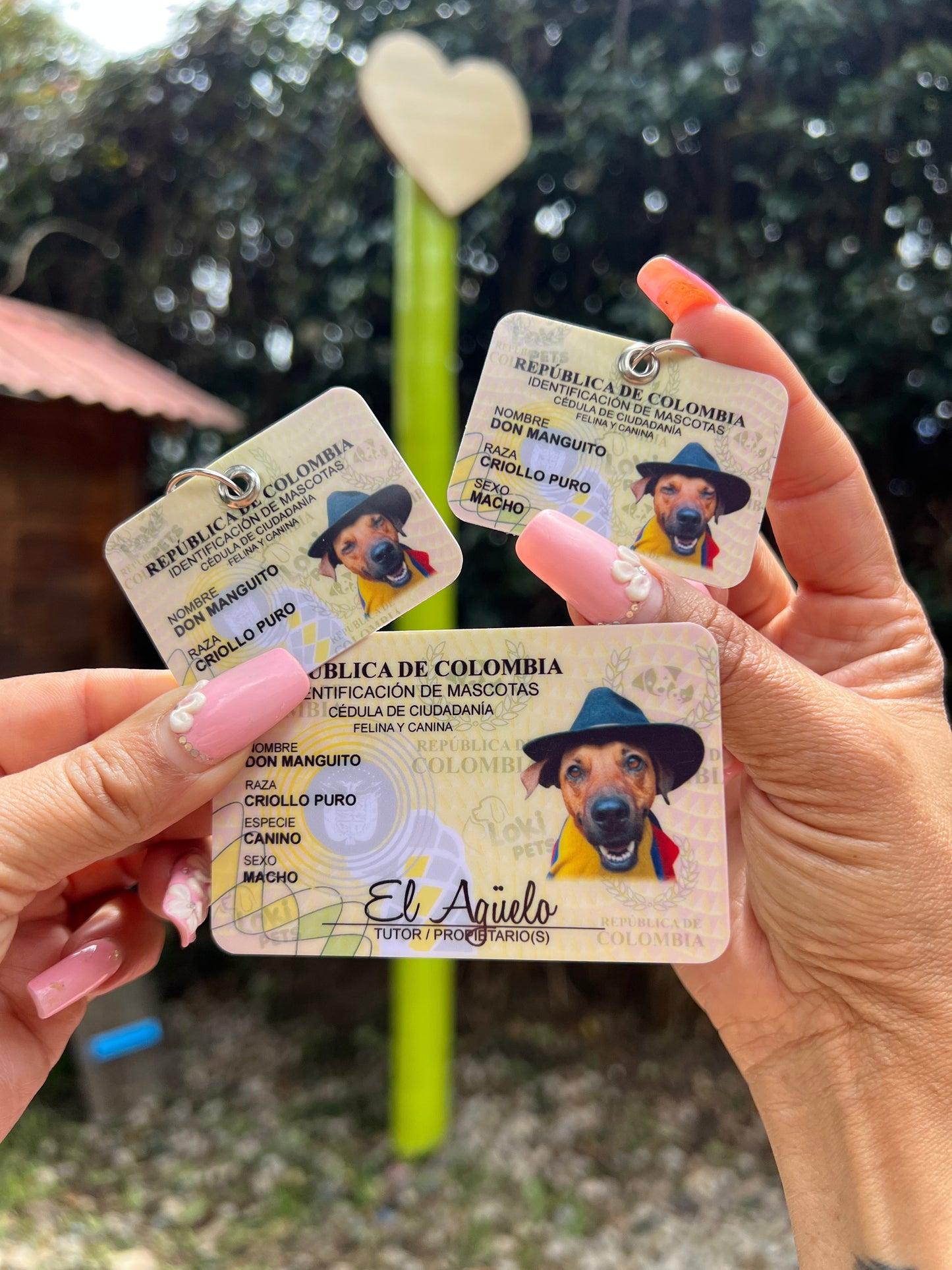 KIT Cédula + Mini Adicional