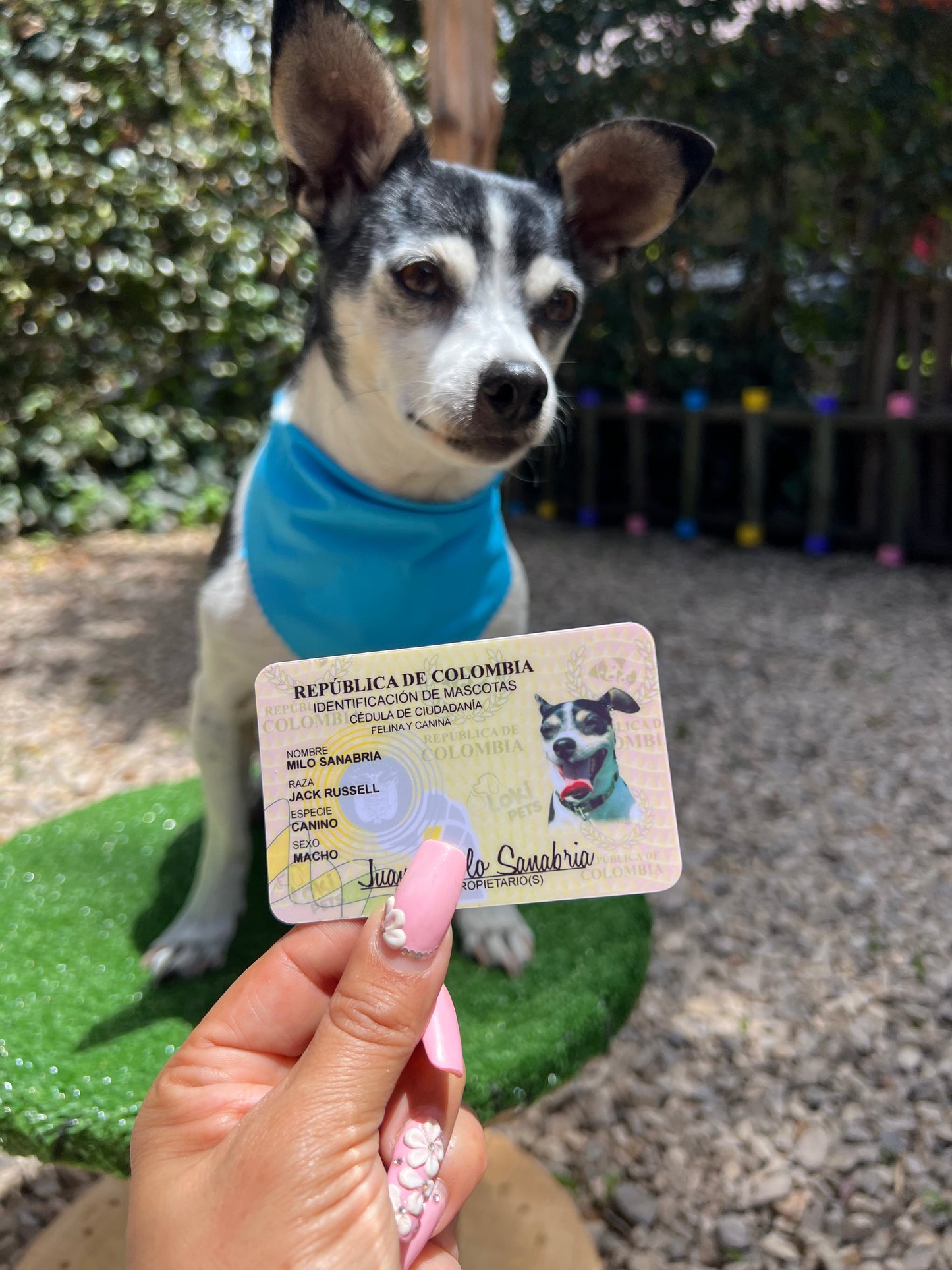 Cédula De Billetera