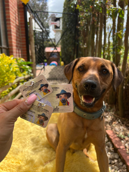 KIT Cédula + Mini Adicional