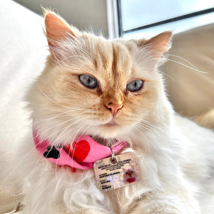 Plaquita mini-cédula