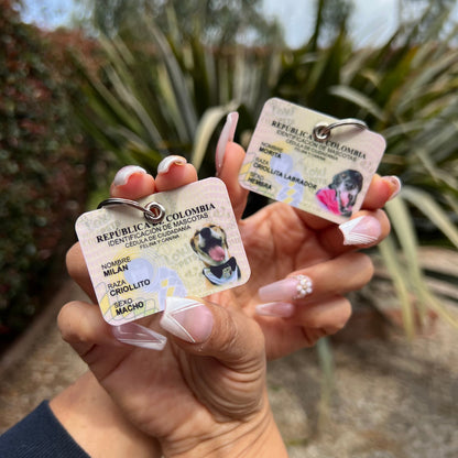 Plaquita mini-cédula