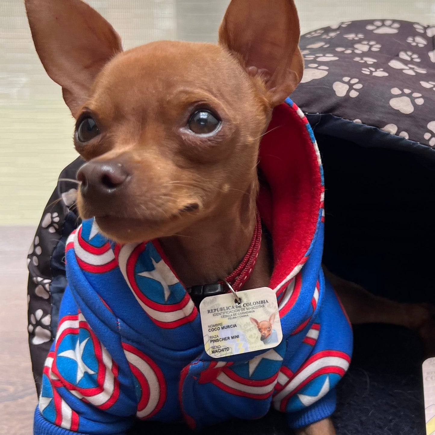 Plaquita mini-cédula