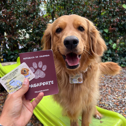 KIT Cédulas & Pasaporte Para Mascotas