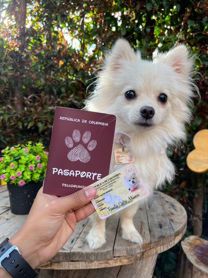 KIT Cédulas & Pasaporte Para Mascotas