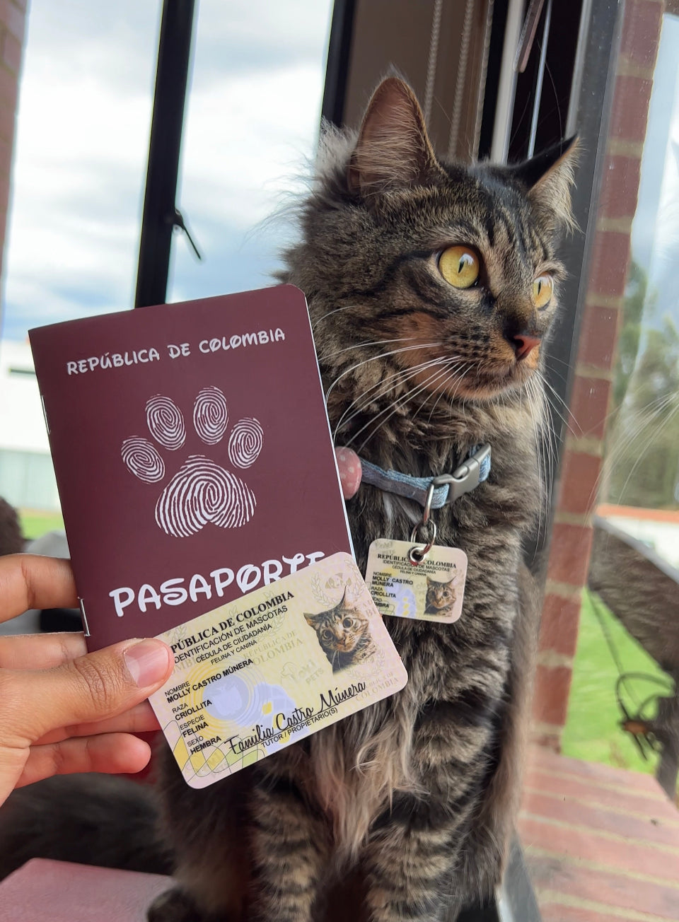 KIT Cédulas & Pasaporte Para Mascotas