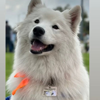 Plaquita mini-cédula