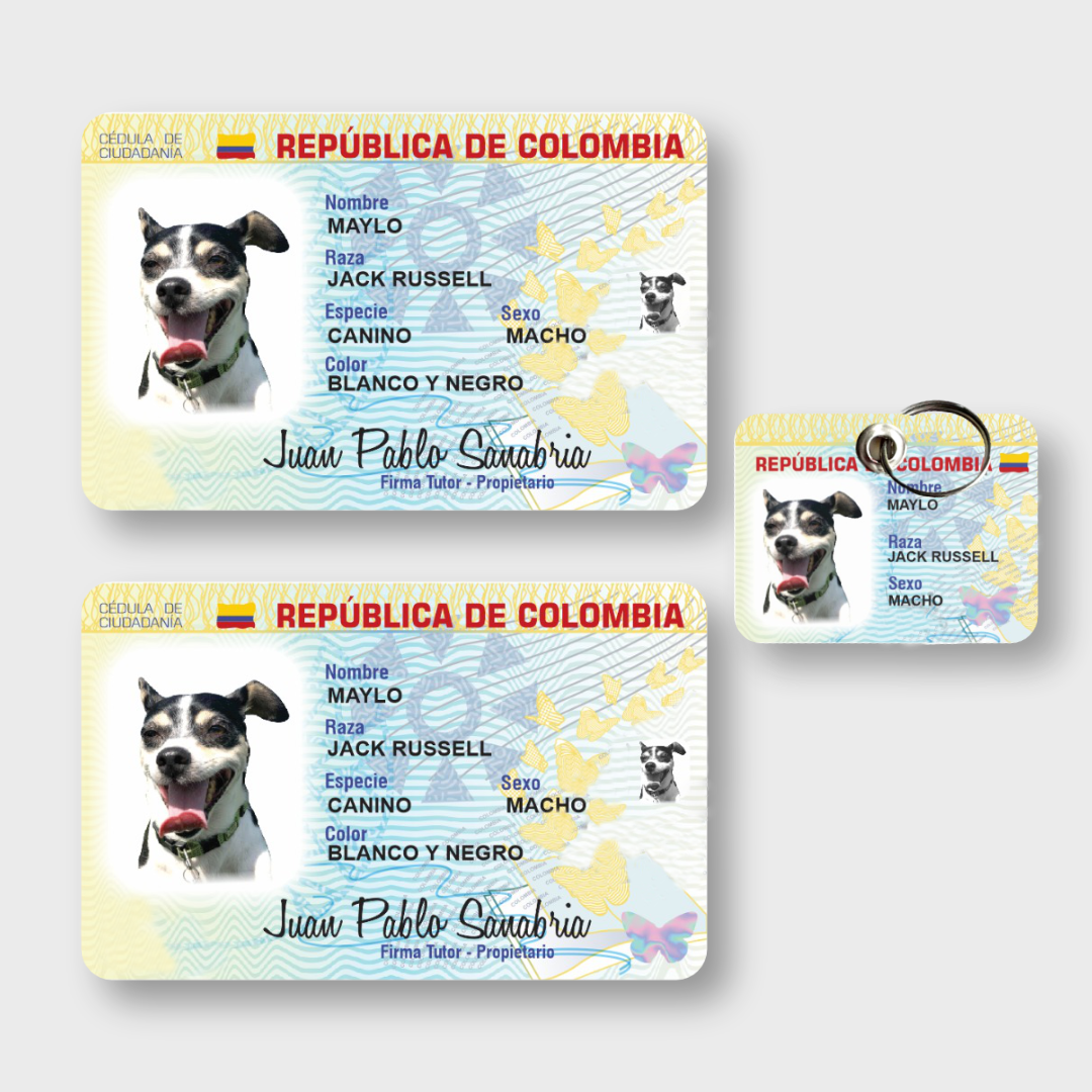 KIT NUEVAS Cédulas Pareja