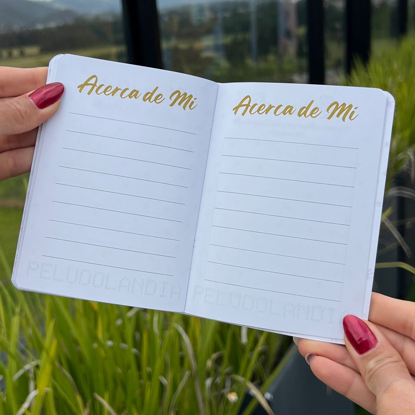 Pasaporte Para Mascotas