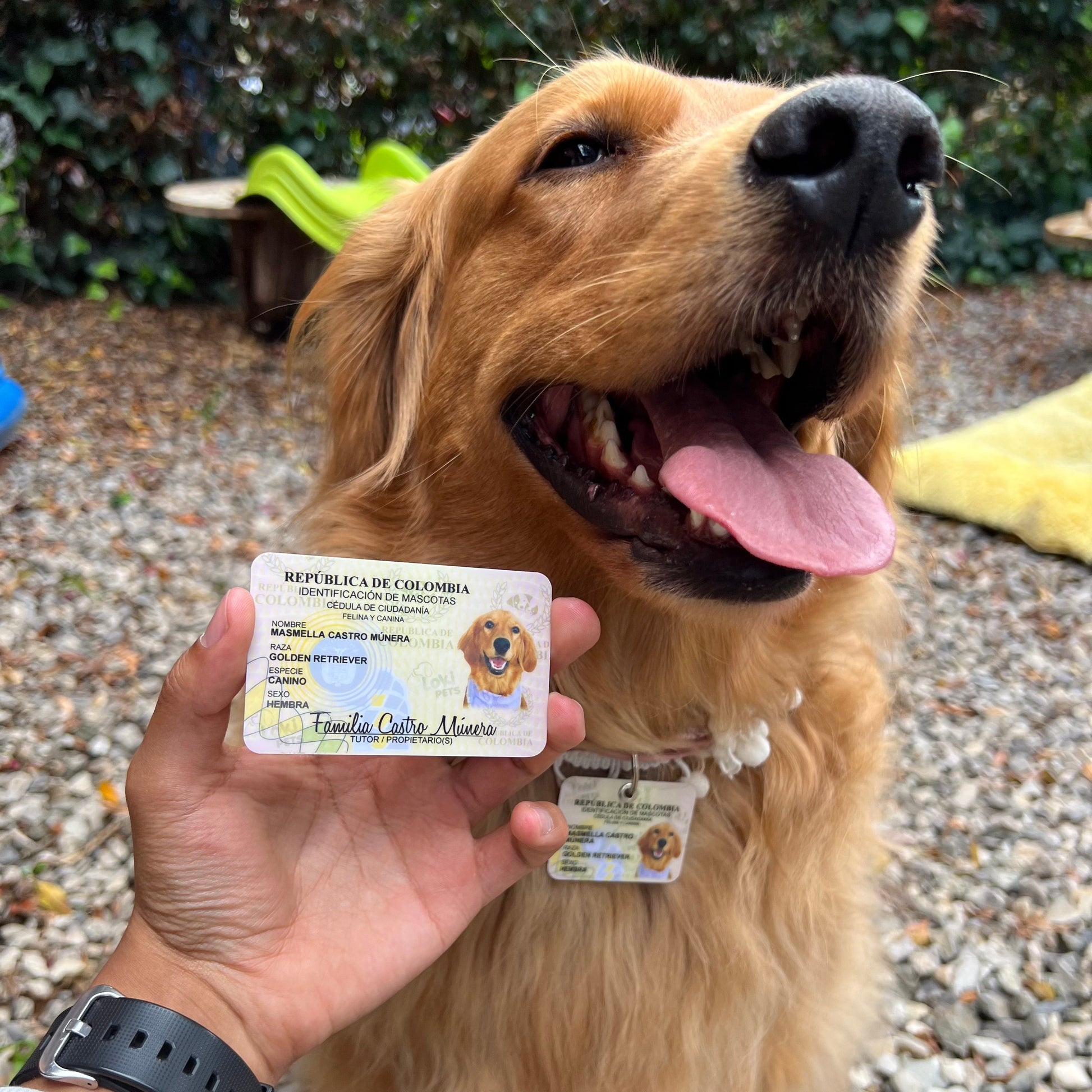 Cédulas Para Mascotas - Peludolandia