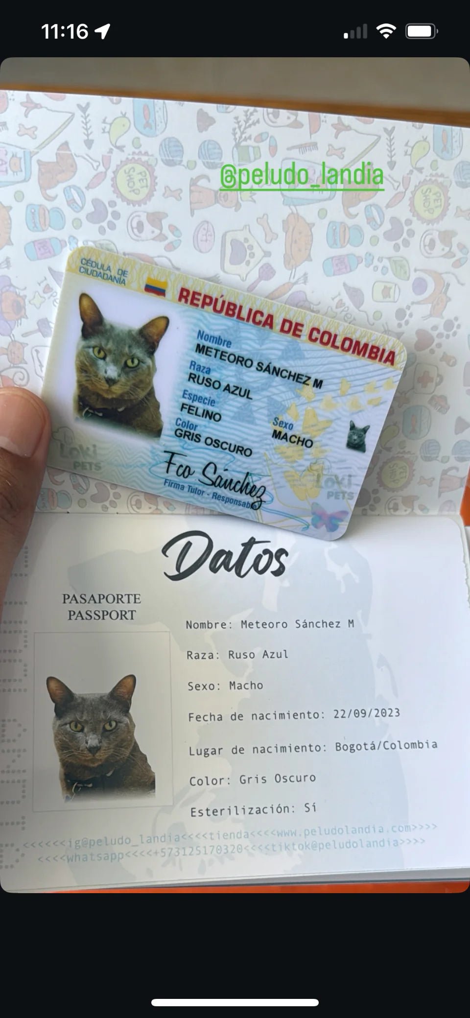 KIT NUEVAS Cédulas & Pasaporte Para Mascotas - Peludolandia